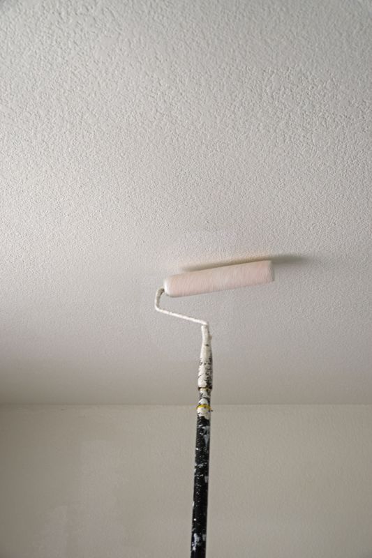 Ceiling Painting Service in Kansas City, KS